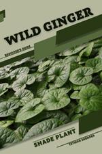 wild ginger: Shade plant Beginner's Guide