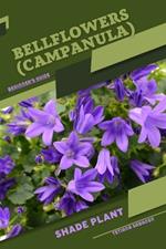 Bellflowers (Campanula): Shade plant Beginner's Guide