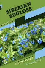 Siberian Bugloss: Shade plant Beginner's Guide
