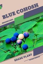 Blue Cohosh: Shade plant Beginner's Guide