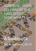 Surprise, Your Co-Parent Is a Narcissist: NOW WHAT?: A Guidebook