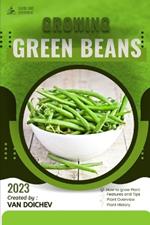 Green Beans: Guide and overview