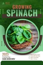 Spinach: Guide and overview