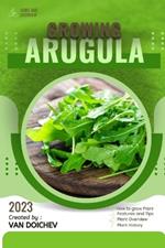 Arugula: Guide and overview