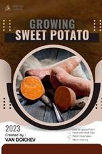 Sweet Potato: Guide and overview