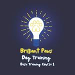 Brilliant Paws Dog Training Basic Training Course 1: An easy to understand basic dog training course
