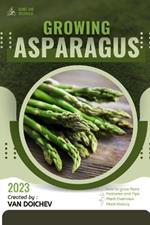 Asparagus: Guide and overview