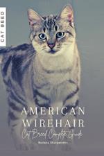 American Wirehair: Cat Breed Complete Guide