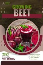 Beet: Guide and overview