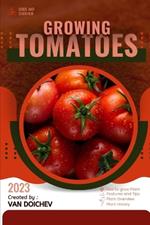 Tomatoes: Guide and overview