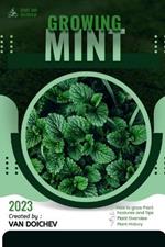 Mint: Guide and overview