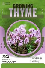 Thyme: Guide and overview