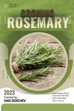 Rosemary: Guide and overview