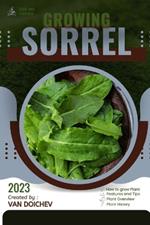 Sorrel: Guide and overview