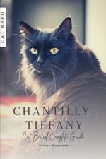 Chantilly-Tiffany: Cat Breed Complete Guide