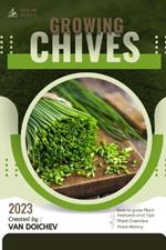 Chives: Guide and overview