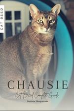 Chausie: Cat Breed Complete Guide