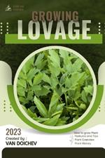 Lovage: Guide and overview