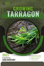 Tarragon: Guide and overview