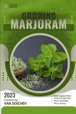 Marjoram: Guide and overview