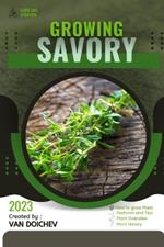 Savory: Guide and overview