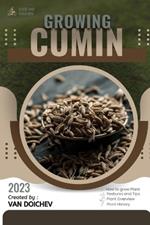 Cumin: Guide and overview