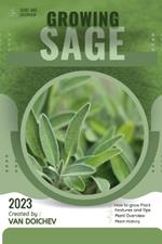 Sage: Guide and overview