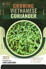 Vietnamese Coriander: Guide and overview