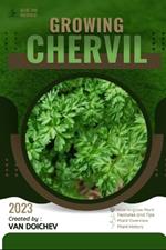 Chervil: Guide and overview