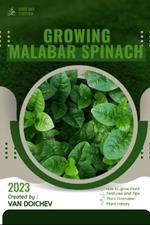 Malabar Spinach: Guide and overview