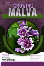 Malva: Guide and overview