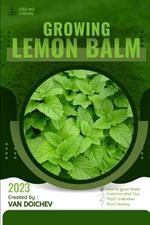 Lemon Balm: Guide and overview