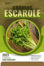 Escarole: Guide and overview