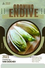 Endive: Guide and overview