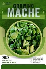 Mache: Guide and overview