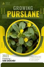 Purslane: Guide and overview