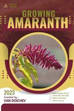 Amaranth: Guide and overview