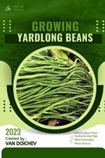 Yardlong Beans: Guide and overview