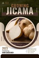 Jicama: Guide and overview