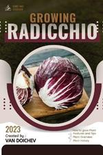 Radicchio: Guide and overview