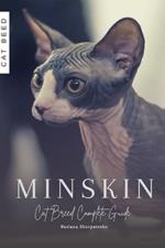 Minskin: Cat Breed Complete Guide
