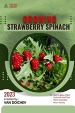 Strawberry Spinach: Guide and overview