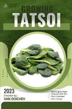 Tatsoi: Guide and overview