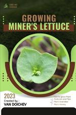 Miner's Lettuce: Guide and overview