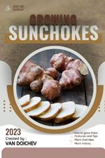 Sunchokes: Guide and overview