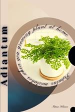 Adiantum: Popular mistakes when you growing PLANT at home
