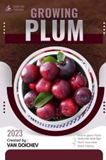 Plum: Guide and overview