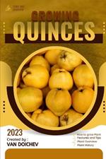 Quinces: Guide and overview