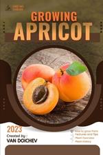 Apricot: Guide and overview