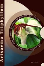 Arisaema Triphyllum: Popular mistakes when you growing PLANT at home